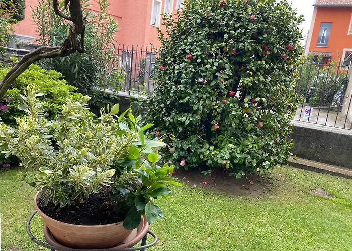 Apartament Verdelago *